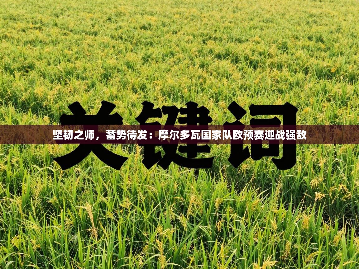 坚韧之师，蓄势待发：摩尔多瓦国家队欧预赛迎战强敌  第2张