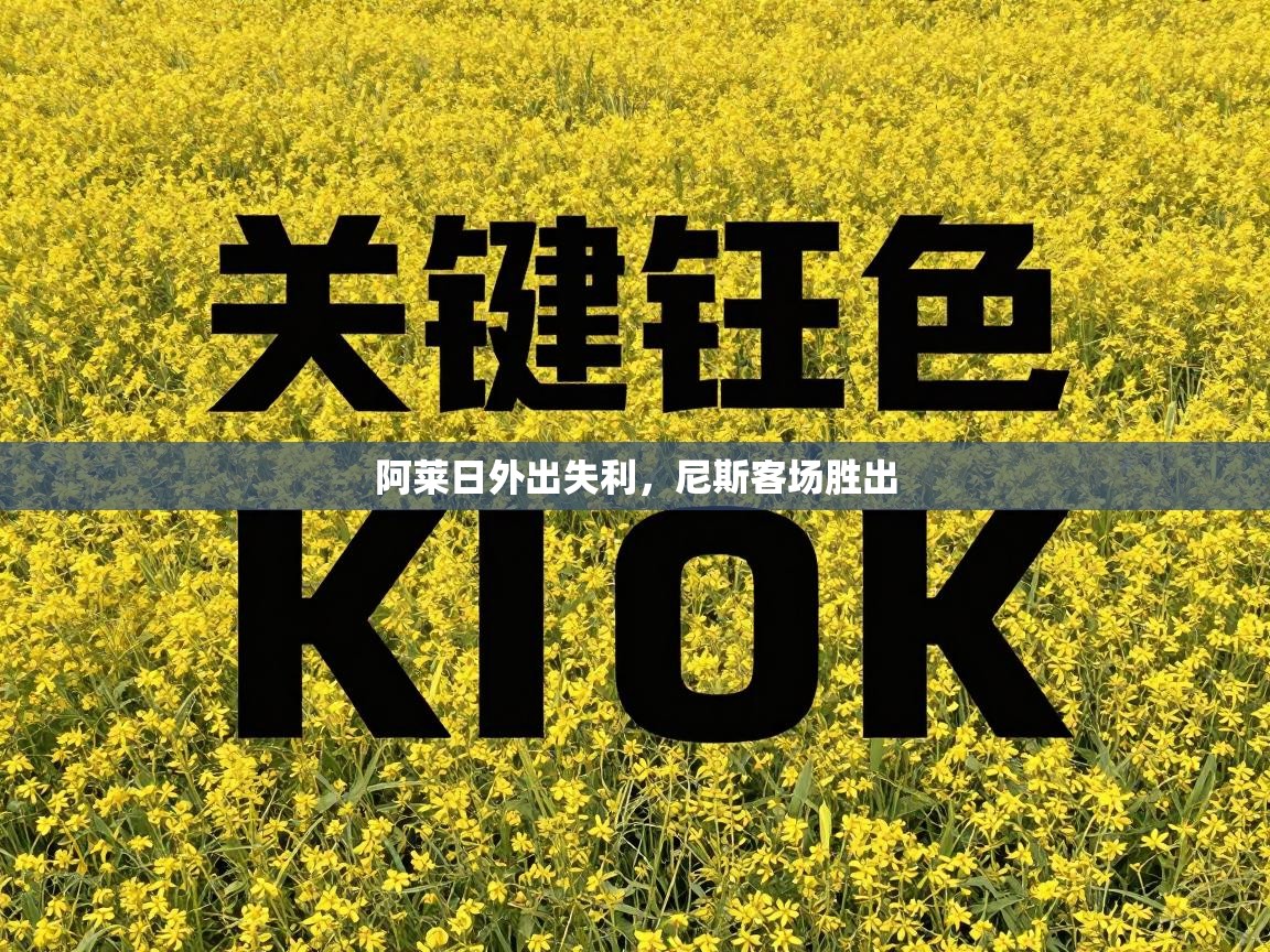 阿莱日外出失利，尼斯客场胜出